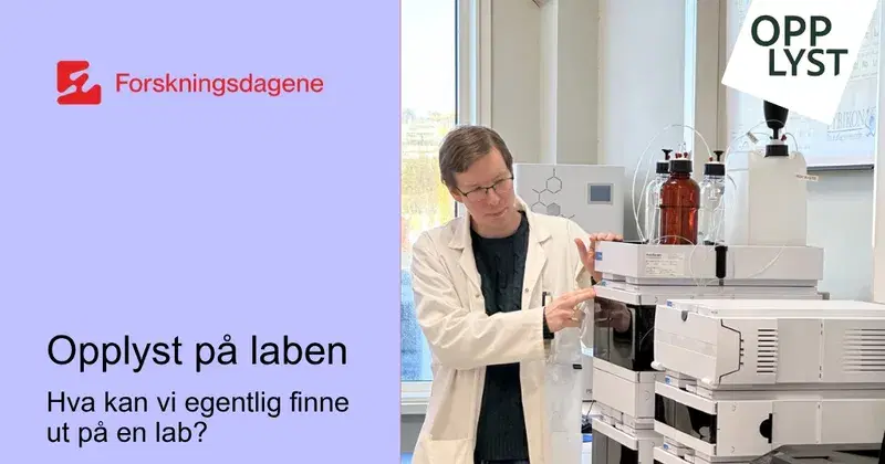 bilde fra lab